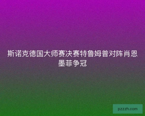 斯诺克德国大师赛决赛特鲁姆普对阵肖恩墨菲争冠