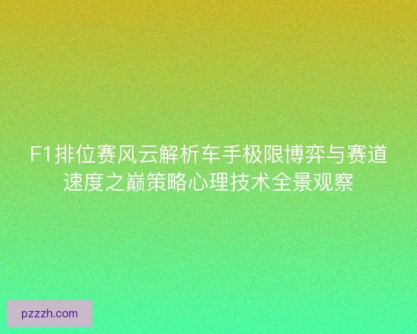 F1排位赛风云解析车手极限博弈与赛道速度之巅策略心理技术全景观察