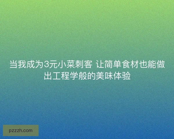 当我成为3元小菜刺客 让简单食材也能做出工程学般的美味体验